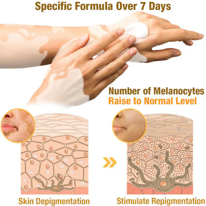 NEW Revitalizing Bee Venom Cream – Natural Skin Restoration & Vitality (Buy 1 Get 1 Free🔥)